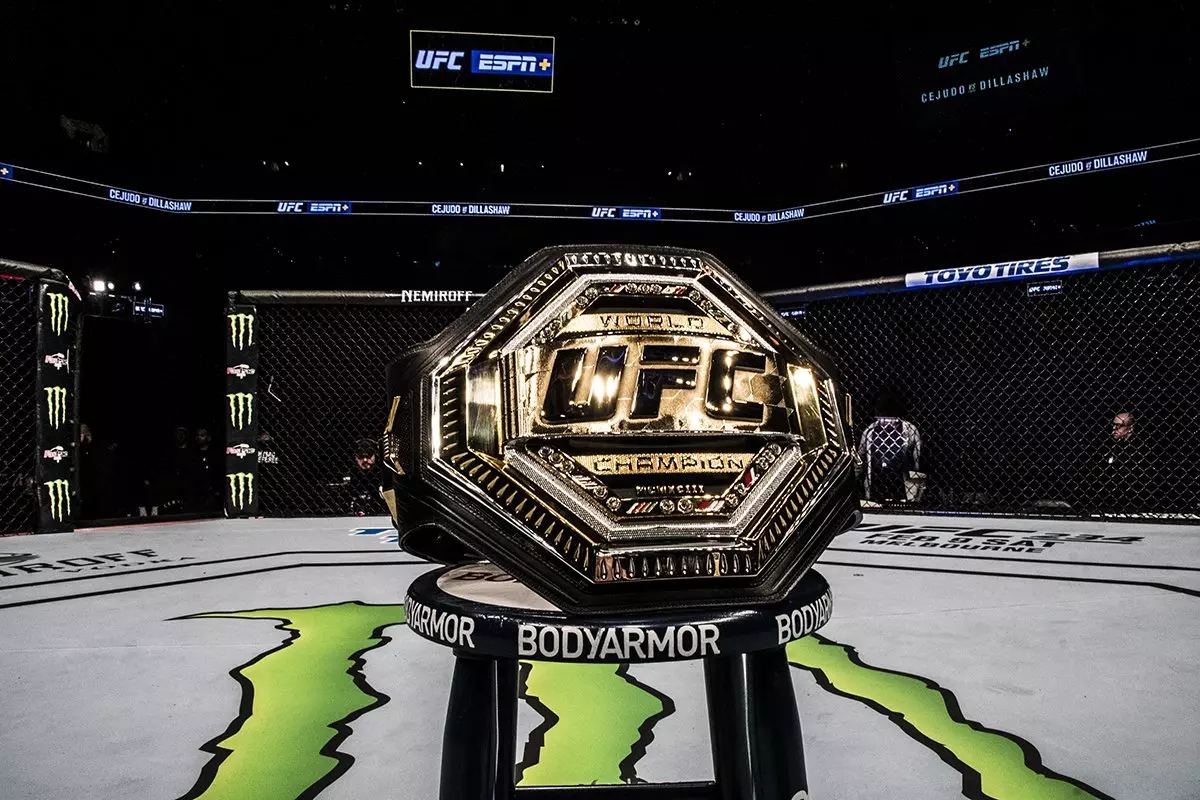 Campeões do UFC por categoria